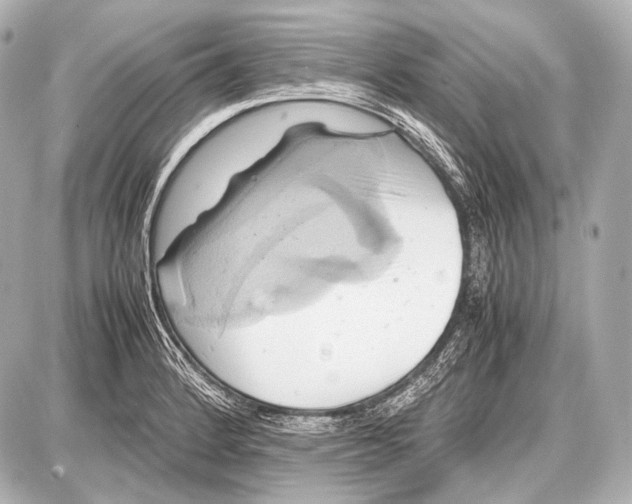 X0000087011184200705141824