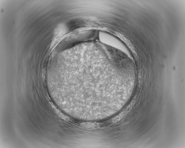 X0000087011185200705141824