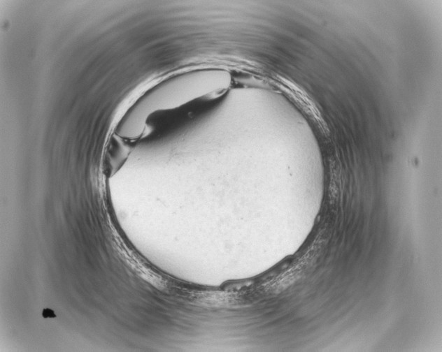 X0000087011188200705141823