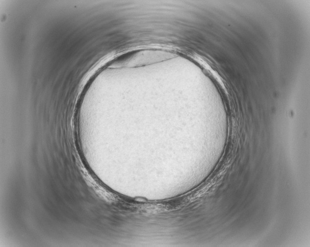 X0000087011189200705141823