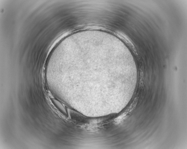 X0000087011190200705141823