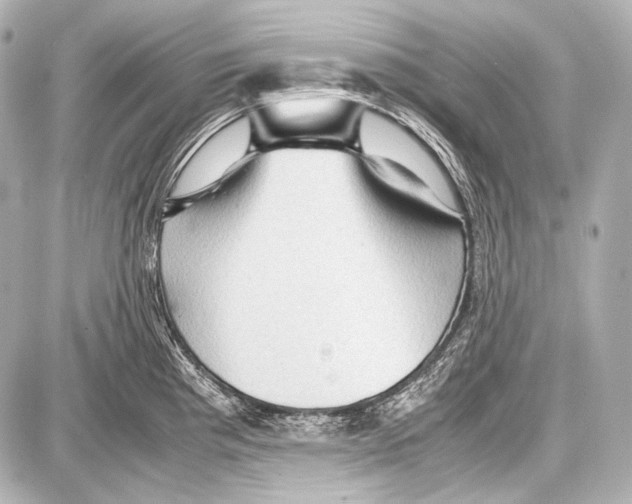 X0000087011193200705141823