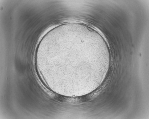 X0000087011195200705141823