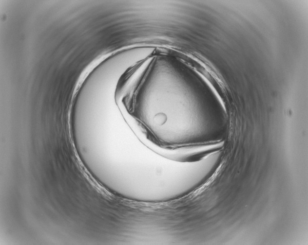 X0000087011196200705141823