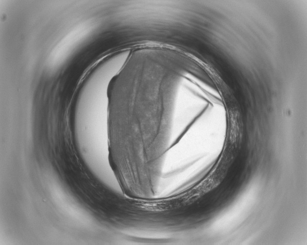 X0000087011198200705141823