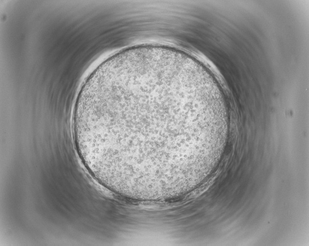 X0000087011199200705141823