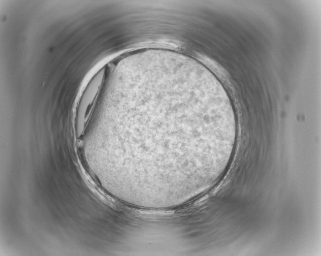 X0000087011200200705141823