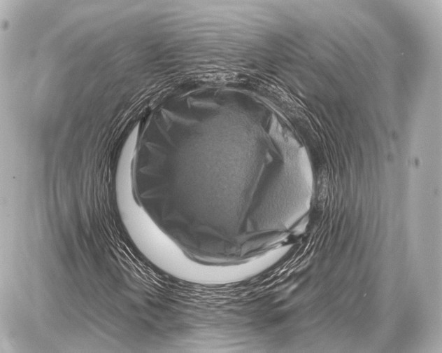 X0000087011202200705141823