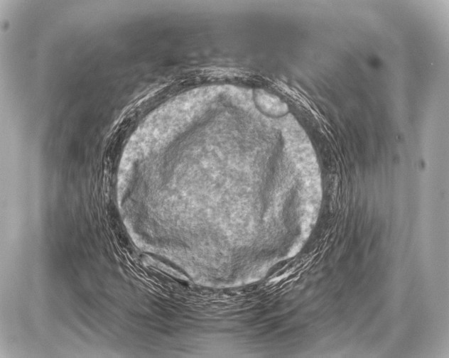 X0000087011207200705141823