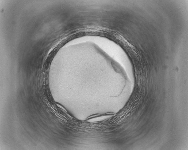 X0000087011208200705141823