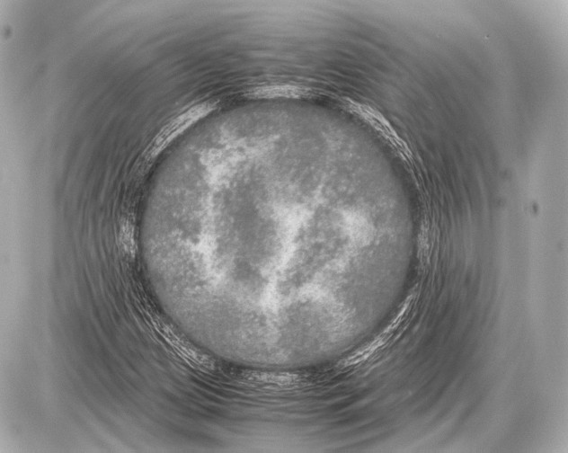 X0000087011209200705141823