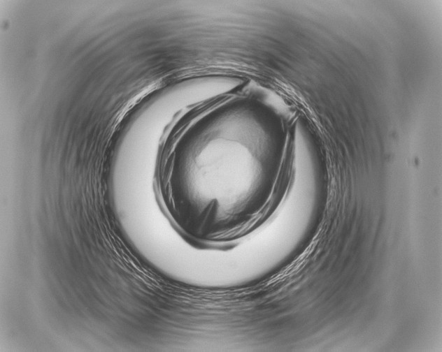 X0000087011210200705141823