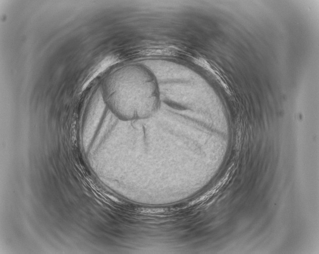 X0000087011211200705141823