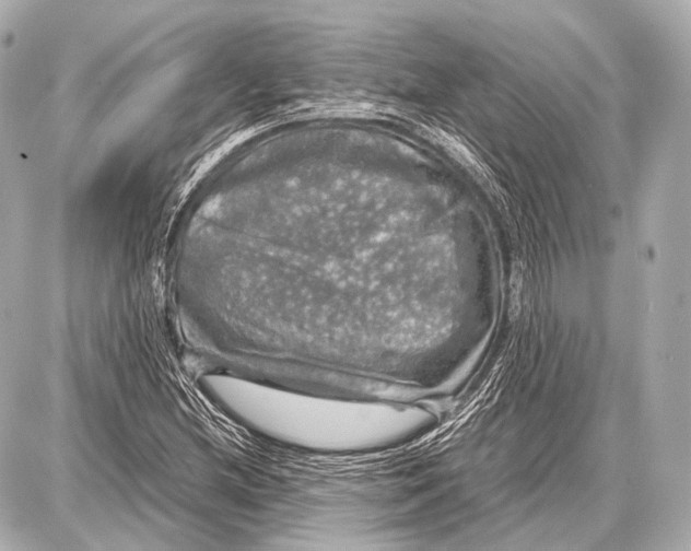 X0000087011212200705141823