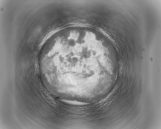 X0000087011215200705141823