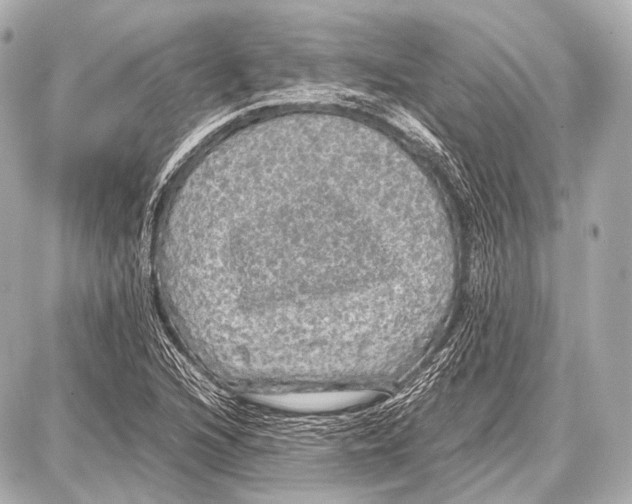 X0000087011216200705141823