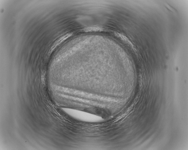 X0000087011217200705141823