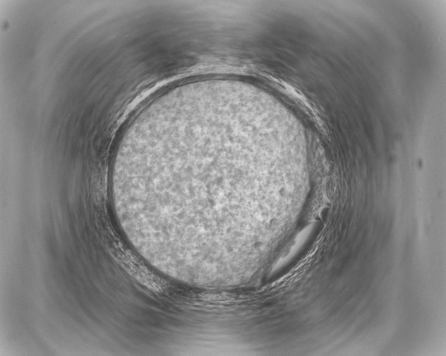 X0000087011220200705141823