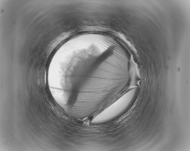 X0000087011221200705141823