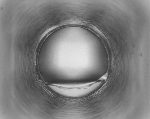 X0000087011222200705141823