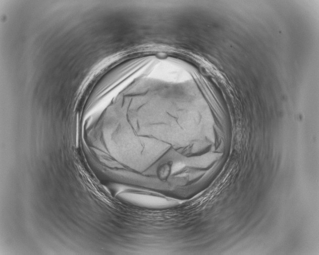 X0000087011223200705141823