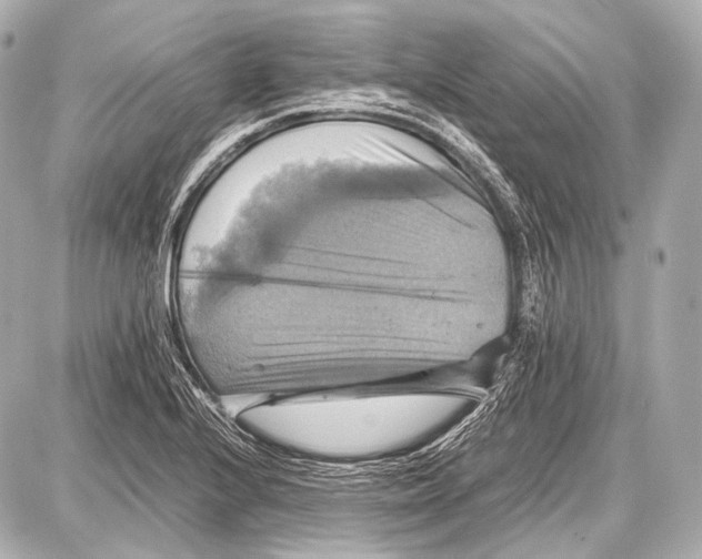 X0000087011224200705141823