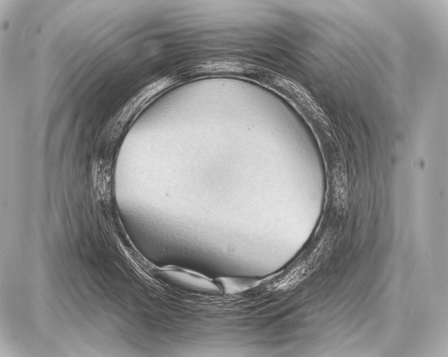 X0000087011225200705141823