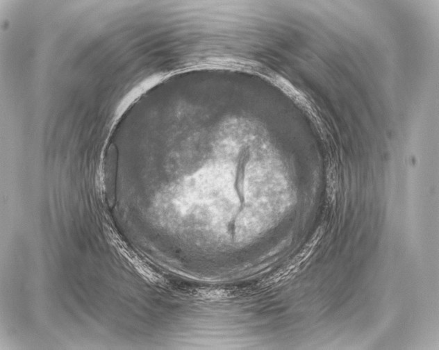 X0000087011230200705141823