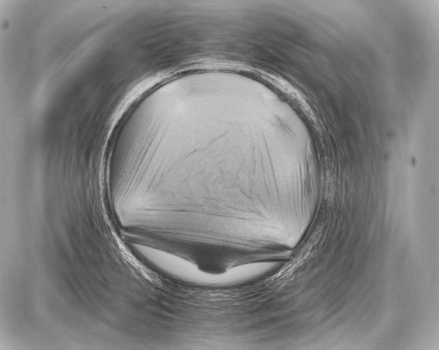 X0000087011231200705141823