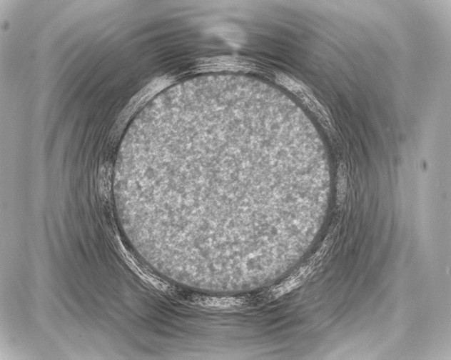 X0000087011233200705141823