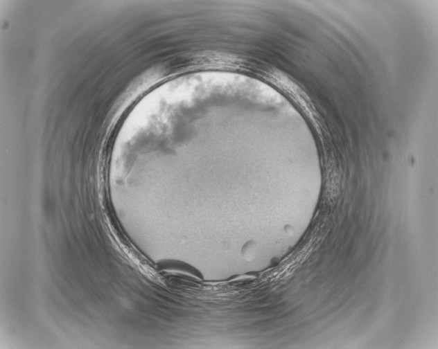 X0000087011235200705141823