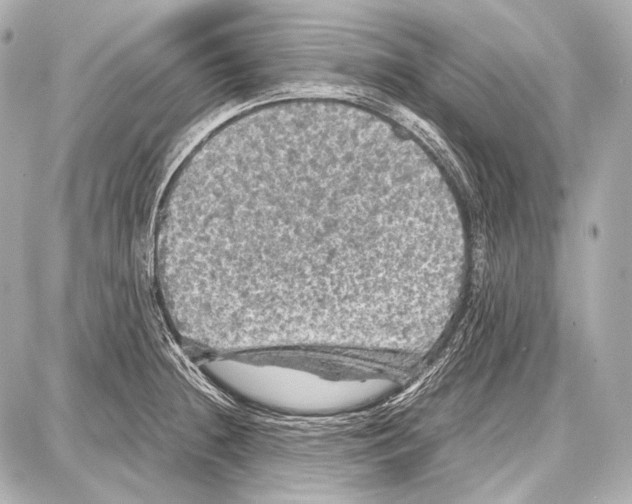 X0000087011236200705141823