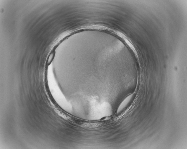 X0000087011237200705141823