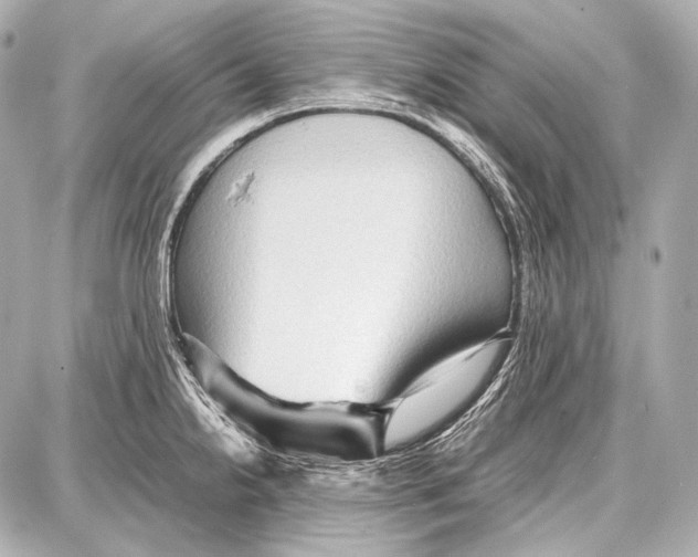 X0000087011238200705141823