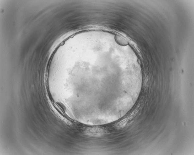 X0000087011239200705141823