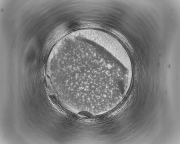 X0000087011241200705141823