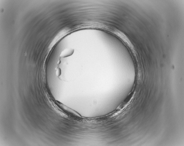 X0000087011242200705141823