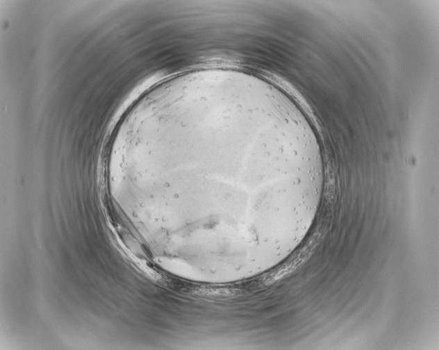 X0000087011243200705141823