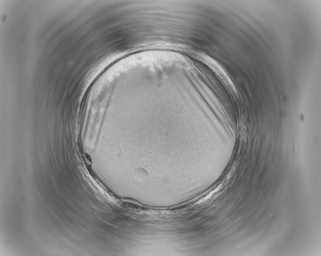 X0000087011244200705141823