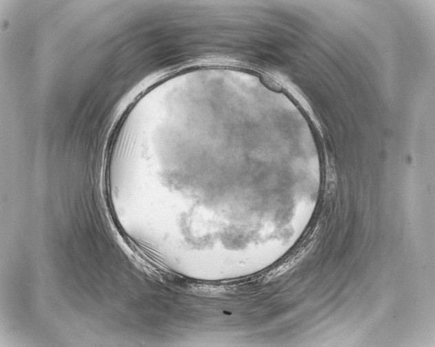 X0000087011245200705141823