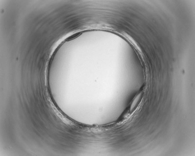 X0000087011246200705141823