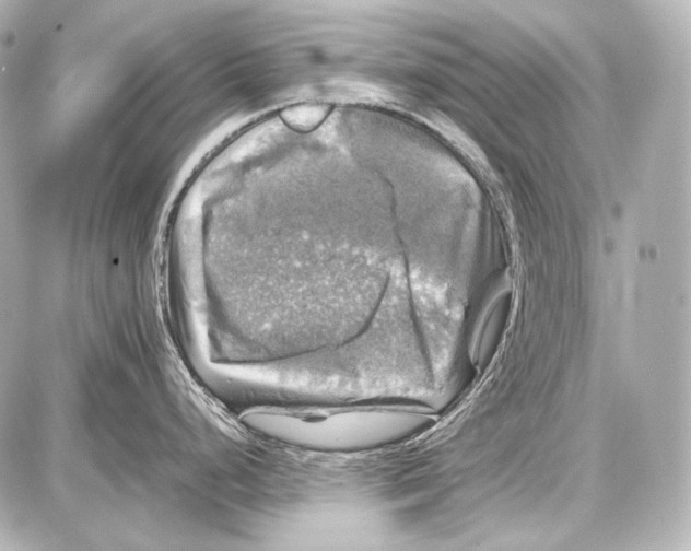 X0000087011248200705141823