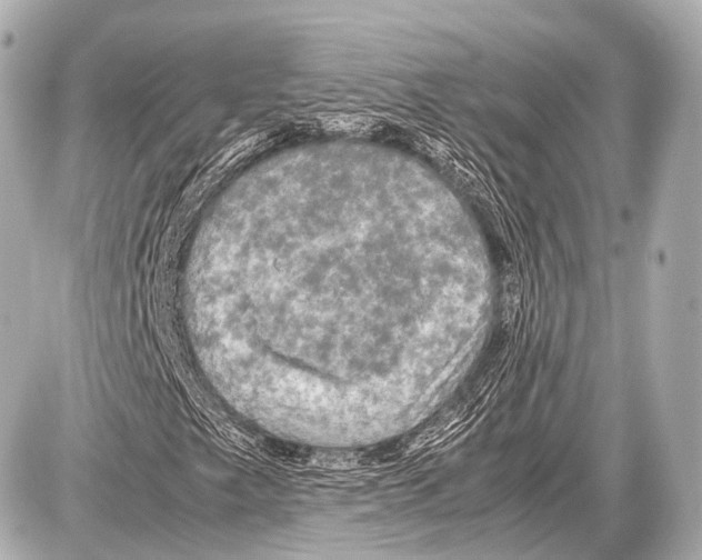 X0000087011249200705141822