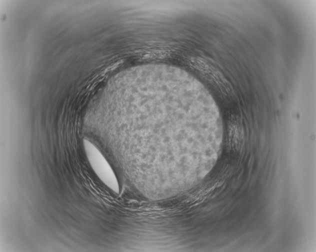 X0000087011250200705141822