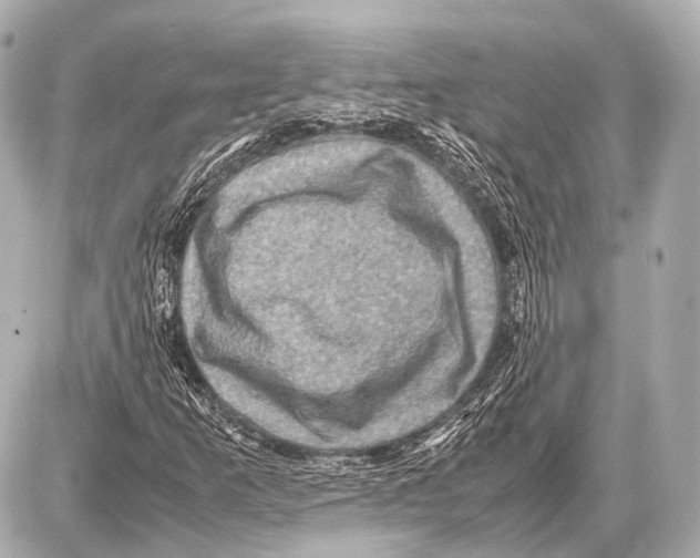 X0000087011253200705141822