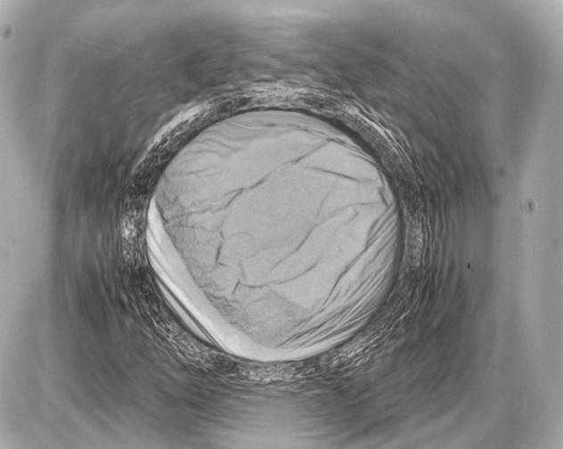 X0000087011254200705141822