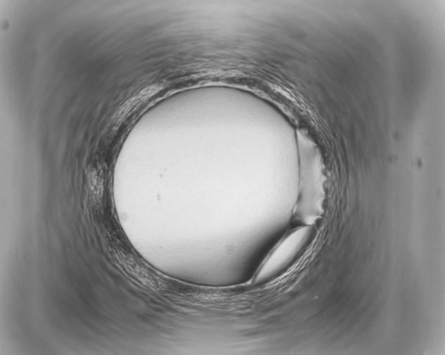 X0000087011257200705141822