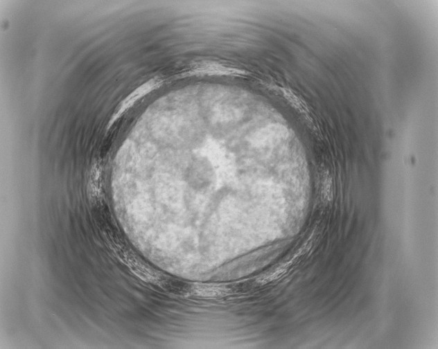 X0000087011258200705141822