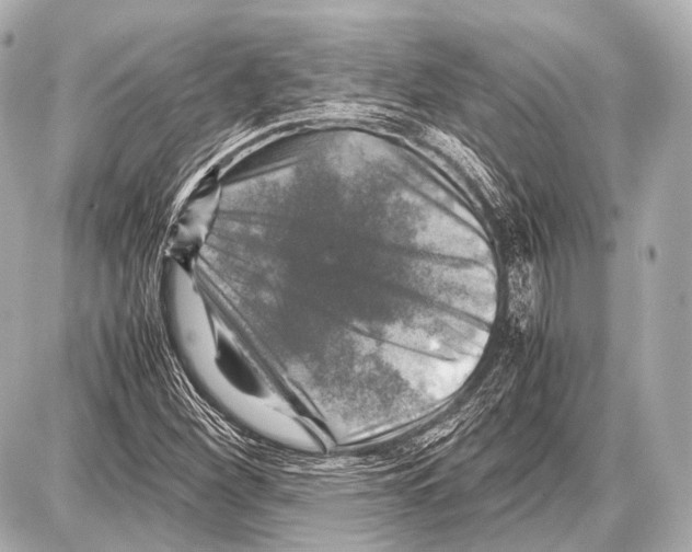 X0000087011260200705141822