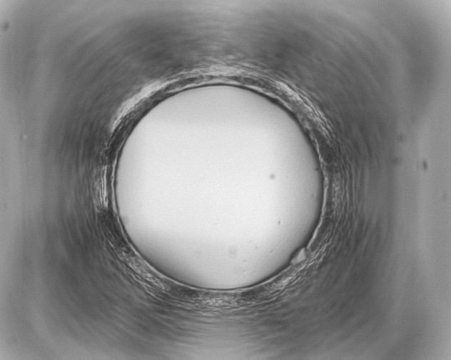 X0000087011262200705141822